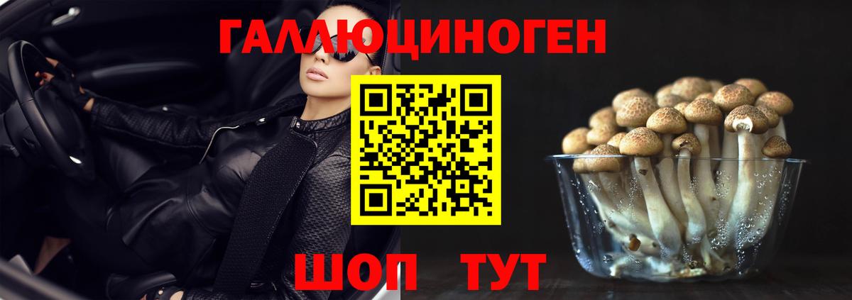 Псилоцибиновые грибы Psilocybe Ангарск
